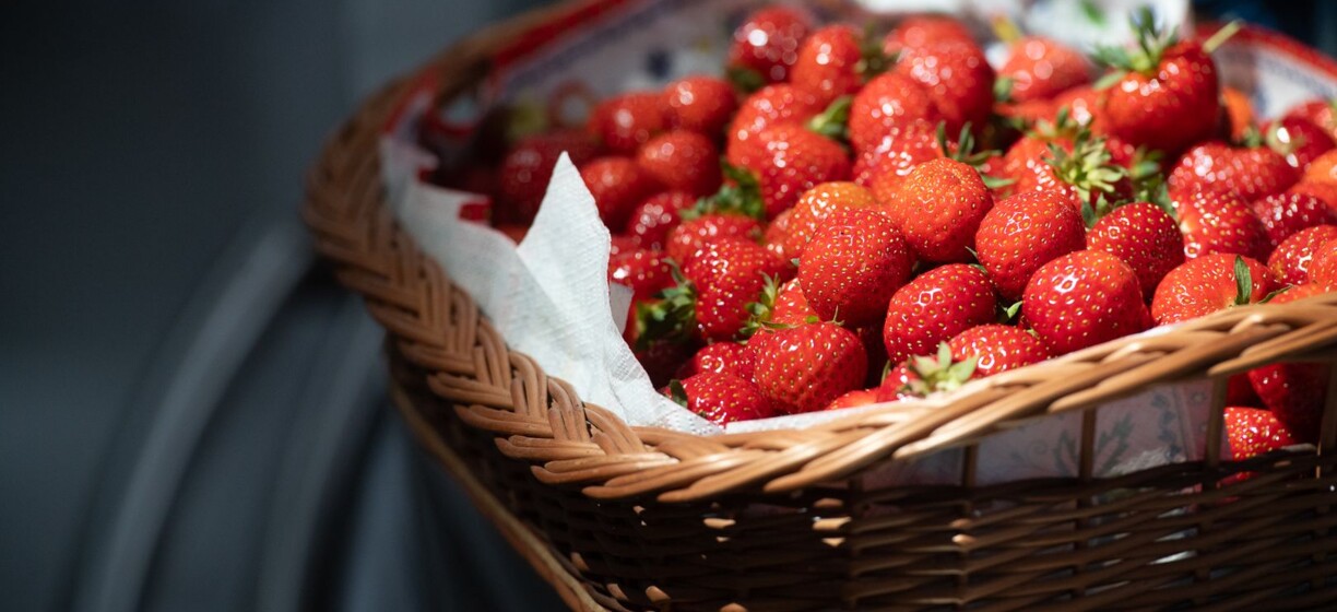 79c9e192135e5eaf2eaaa34578bc93