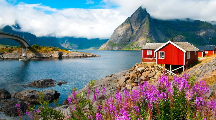 c3d0a290fb77fb3e870add20519f55