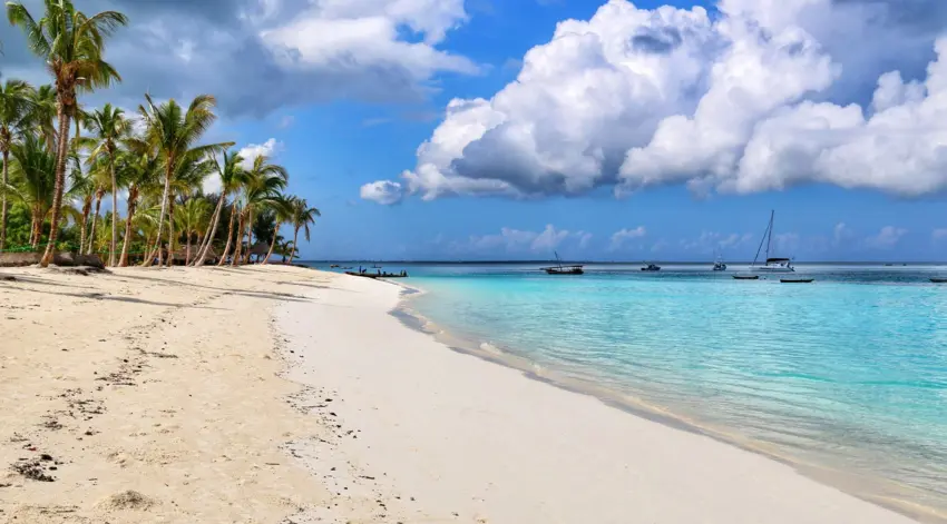 bde147e0886ecad2a81a3d07227d0a